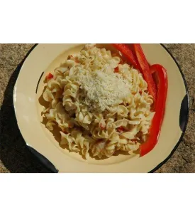 Backpacker's Pantry Fettuccini Alfredo with Chicken