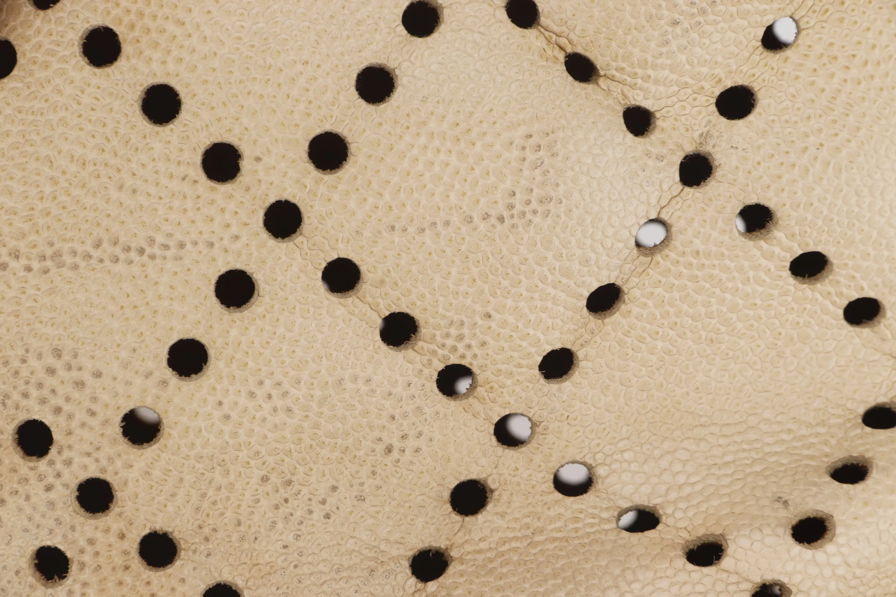 CHANEL TOTE BAG (875xxxx) BEIGE CAVIAR LEATHER, BROWN RESIN, GOLD HARDWARE, NO CARD & DUST COVER