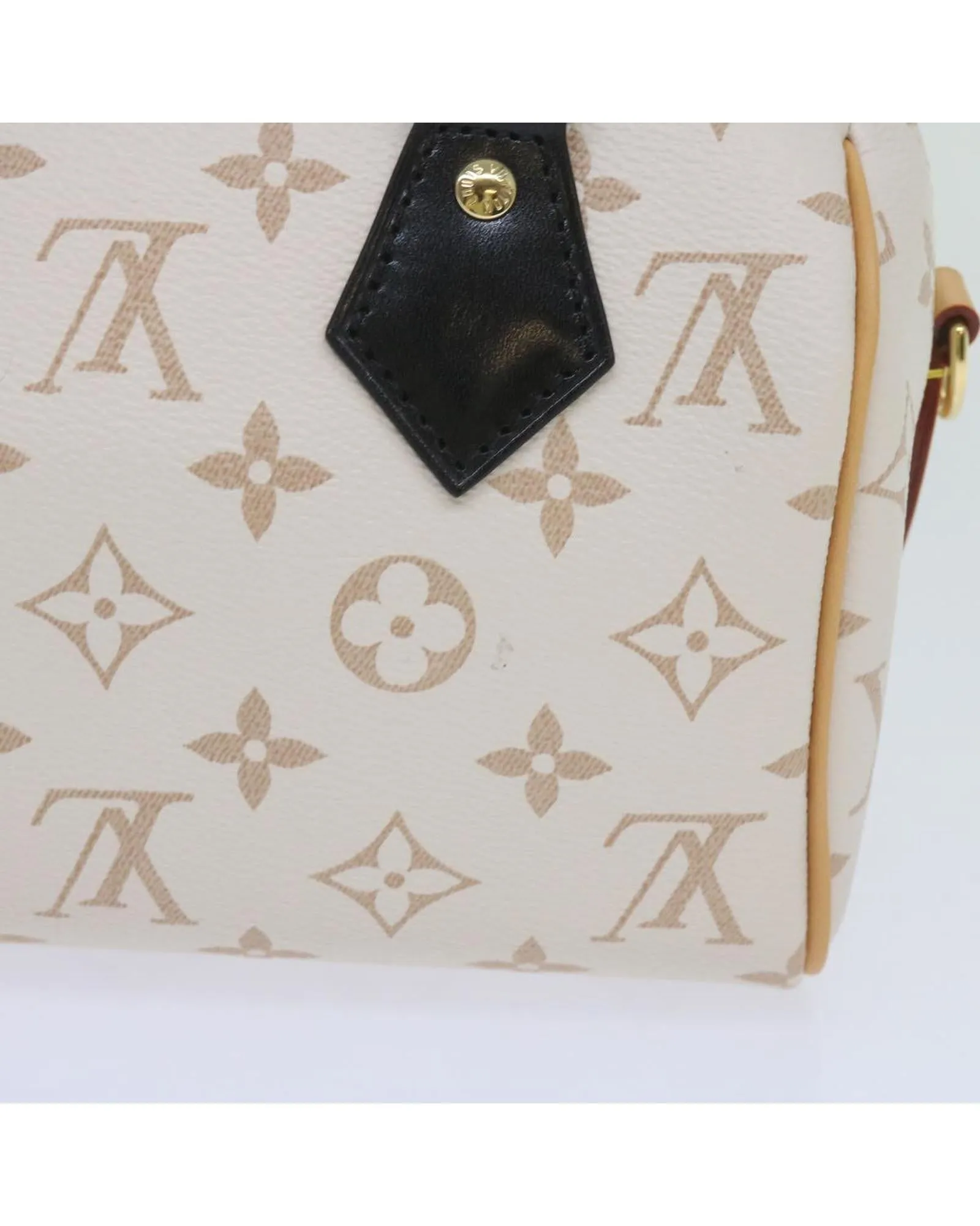 Monogram Speedy Bandouliere 20 Bag with Shoulder Strap